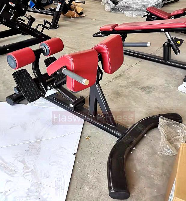 gym equipment manufacturers lf3517 roman chair back extension bodybuilding machine 2