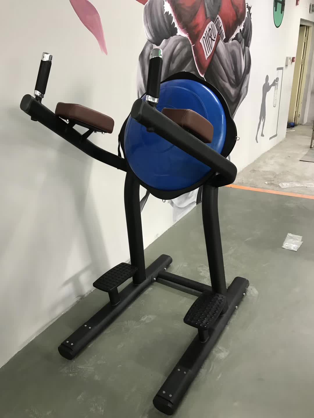 Custom LF3519 Leg Raise with Bosu ball Gym Machine - HW Fitness